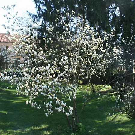 Frühstückspension Tina Feltre
